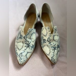 Chinese Laundry Matcha Oxford. Size 8